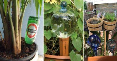 18 DIY Watering Globe Ideas For Busy Gardeners - balconygardenweb.com - city Chicago