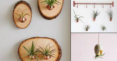 13 Charming DIY Hanging Air Plant Holders You Can Make Quickly & Cheaply - balconygardenweb.com