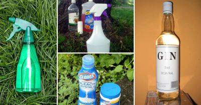 17 DIY Magical Potions For Killing Weeds - balconygardenweb.com