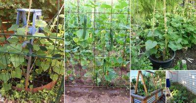 49 Functional DIY Cucumber Trellis Ideas - balconygardenweb.com