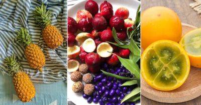 13 Delicious Fruits That Start With Q - balconygardenweb.com - Germany
