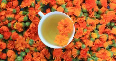 How to Make the Perfect Cup of Calendula Tea - gardenerspath.com