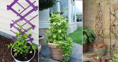 24 Easy DIY Plant Trellises for Pots - balconygardenweb.com