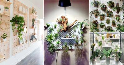 22 Clever Ways to Use Pegboards for Plants - balconygardenweb.com