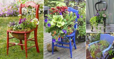 30 Cool Chair Planter Ideas for Home and Garden - balconygardenweb.com