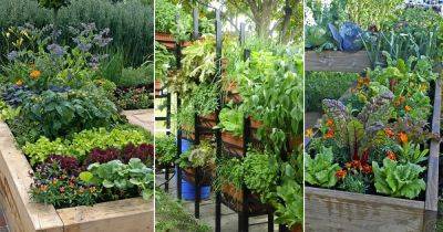 12 Great Tips For Starting A Kitchen Garden Every Beginner Should Know! - balconygardenweb.com