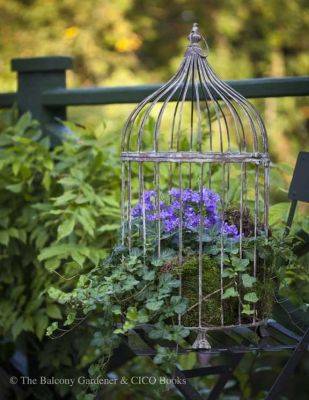 Birdcage with Flowers | How to Create a Birdcage Flower Garden - balconygardenweb.com