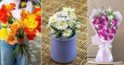 19 Flowers That Mean Forgiveness - balconygardenweb.com - Greece