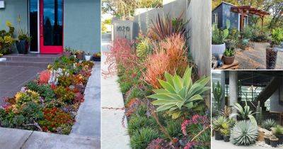 30 Side Yard Desert Landscaping Ideas - balconygardenweb.com