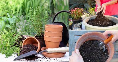 9 Ways to Rejuvenate Old Potting Soil and Make it All Powerful Again - balconygardenweb.com