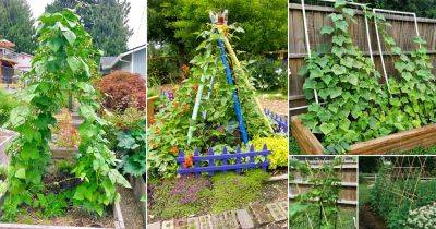 26 Easy and Cool DIY Bean Trellis Ideas - balconygardenweb.com