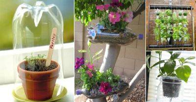 16 Genius Things to Do in Garden with Soda Bottles | Plastic Bottle Ideas - balconygardenweb.com