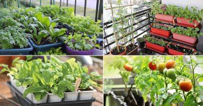 How to Start A Balcony Vegetable Garden | Growing Vegetables In Balcony - balconygardenweb.com - China
