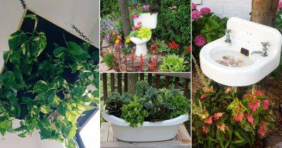 18 Bizarre DIY Bathroom Item Ideas in the Garden - balconygardenweb.com - China - India - Japan