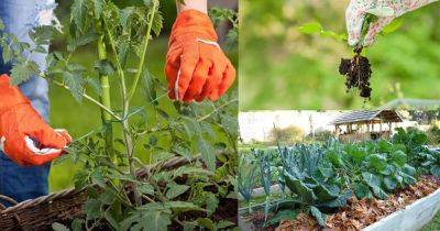 21 Practical Time Saving Tips For Busy Gardeners - balconygardenweb.com