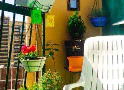 15 Balcony Garden Tips to Transform your Small Space - balconygardenweb.com
