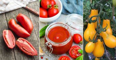 27 Most Delicious Tomatoes for Sauce - balconygardenweb.com - Italy