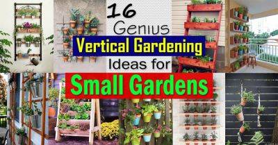 16 Genius Vertical Gardening Ideas For Small Gardens - balconygardenweb.com