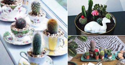 20 DIY Cactus Garden Ideas | How to Build a Cactus Garden - balconygardenweb.com