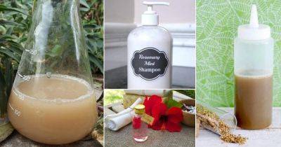 Homemade Shampoo Recipes From Your Garden - balconygardenweb.com