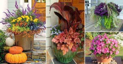 16 Great Fall Flowers For Containers: Fall Flowers For Pots - balconygardenweb.com