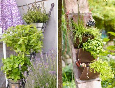 8 Balcony Herb Garden Ideas You Would Like to Try - balconygardenweb.com