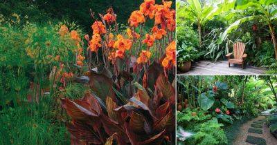 25 Cold Hardy Tropical Plants to Create a Tropical Garden in Cold Climate - balconygardenweb.com - China - Mexico