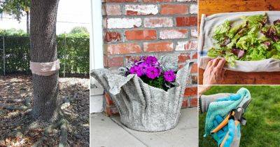 13 Cool Things to Do With Old Towels in the Garden - balconygardenweb.com