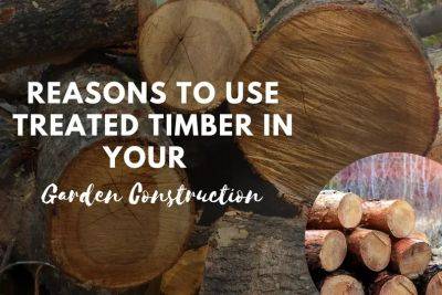 Reasons To Use Treated Timber In Your Garden Construction - realmensow.co.uk