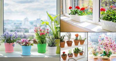 26 Awesome Indoor Windowsill Flower Garden Ideas - balconygardenweb.com - Britain