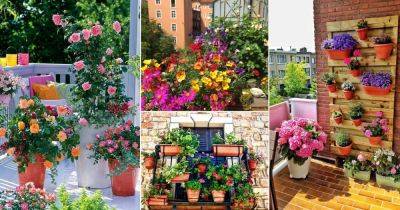 18 Tips to Start a Balcony Flower Garden | Balcony Garden Design - balconygardenweb.com