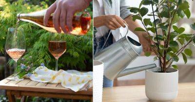 14 Leftover Wine Uses in Garden and Home - balconygardenweb.com