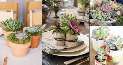 30 Beautiful DIY Succulents Centerpiece and Arrangement Ideas - balconygardenweb.com - state California