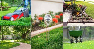 13 Super Effective Lawn Care Tips for Lush Green Garden - balconygardenweb.com