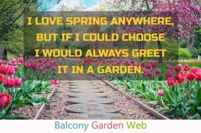 30 Amazing Spring Quotes For Gardeners - balconygardenweb.com