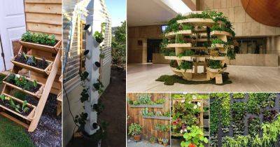 50 DIY Vertical Gardening Ideas | How to Make a Vertical Garden - balconygardenweb.com