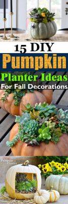 15 DIY Pumpkin Planter Ideas For Fall Decorations - balconygardenweb.com