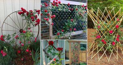 26 Functional DIY Rose Trellis Ideas - balconygardenweb.com