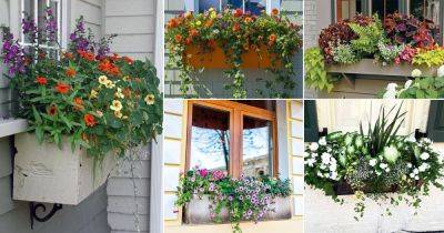 45 Best Window Boxes Idea to Boost Curb Appeal of Your Home! - balconygardenweb.com