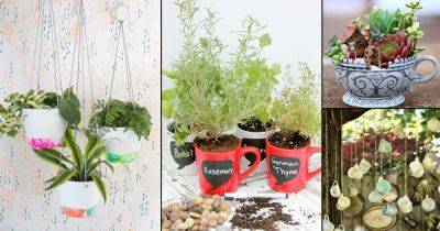 21 DIY Coffee Mug Ideas for the Garden - balconygardenweb.com