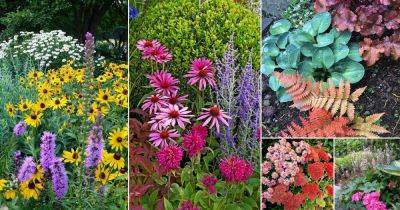 26 Stunning Perennial Combinations You Must Try Growing - balconygardenweb.com