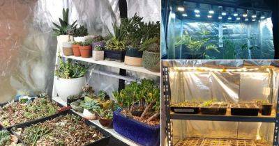 12 DIY Grow Tent Ideas For Indoor Gardeners - balconygardenweb.com