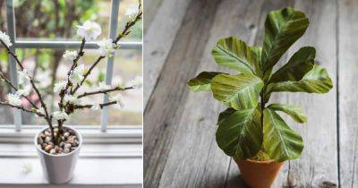 27 Easy DIY Fake Plants Projects | How To Make Fake Plants - balconygardenweb.com