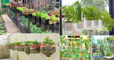 23 DIY Edible Garden Ideas from Plastic Bottles - balconygardenweb.com