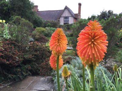 10 Colourful Reasons to Visit Great Dixter this Month - blog.theenduringgardener.com