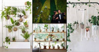 How to Design Best Indoor Selfie Space with Plants - balconygardenweb.com - Japan