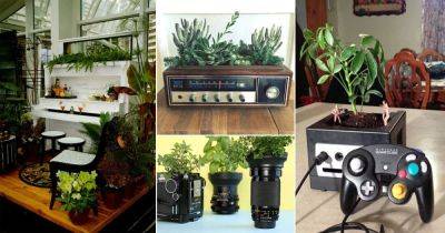 17 Old Electronic Items Used to Grow Plants Ideas - balconygardenweb.com