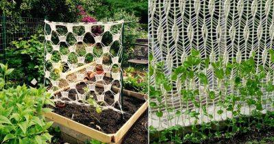 4 Unique DIY Crochet Trellis Ideas For Garden - balconygardenweb.com