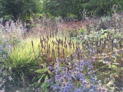 3 Good Reasons to visit Scampston Hall Gardens - blog.theenduringgardener.com