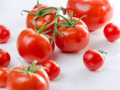 Why Are Tomatoes Good For You? 10 Health Benefits Of Tomatoes - gardeningknowhow.com - Usa